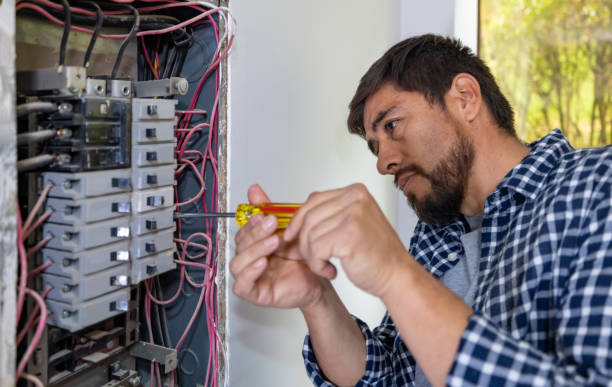 Best Electric Panel Repair  in Shepherd, TX